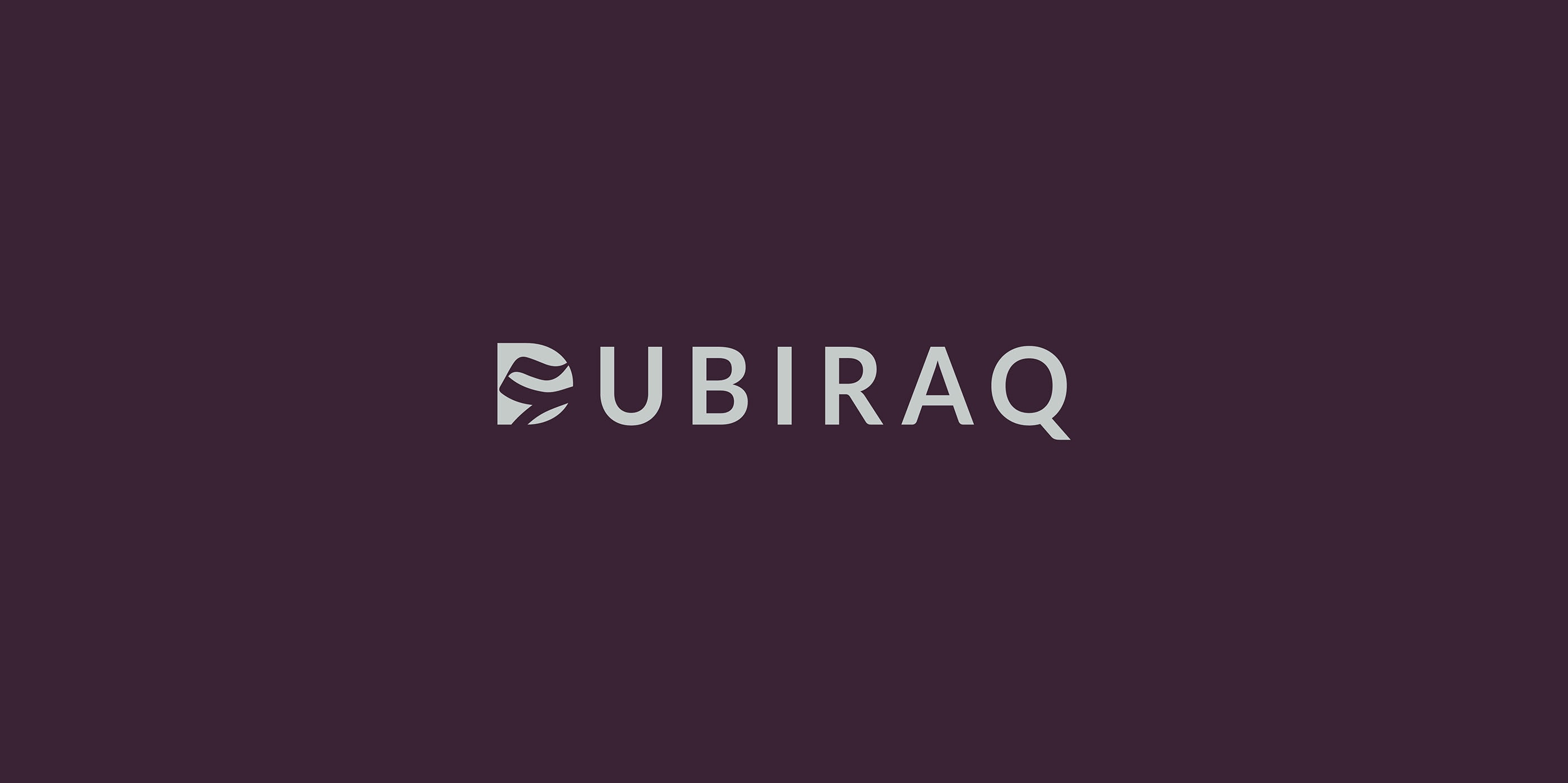dubiraq 27 logo centred