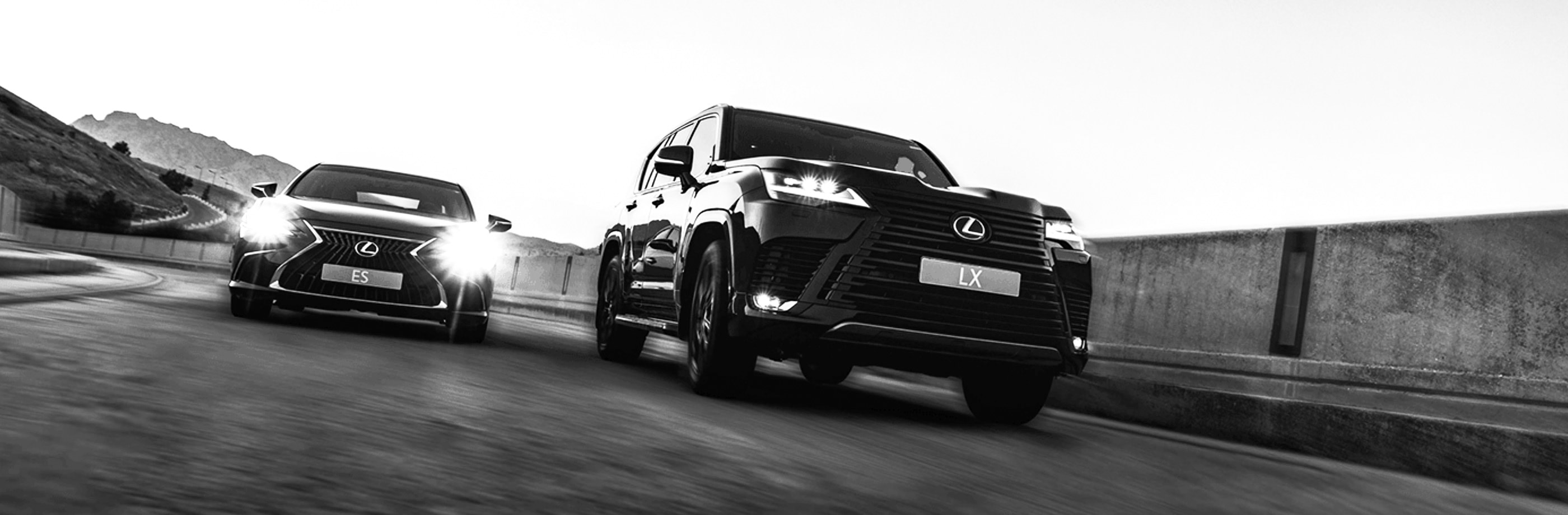 lx 20 es lx bw