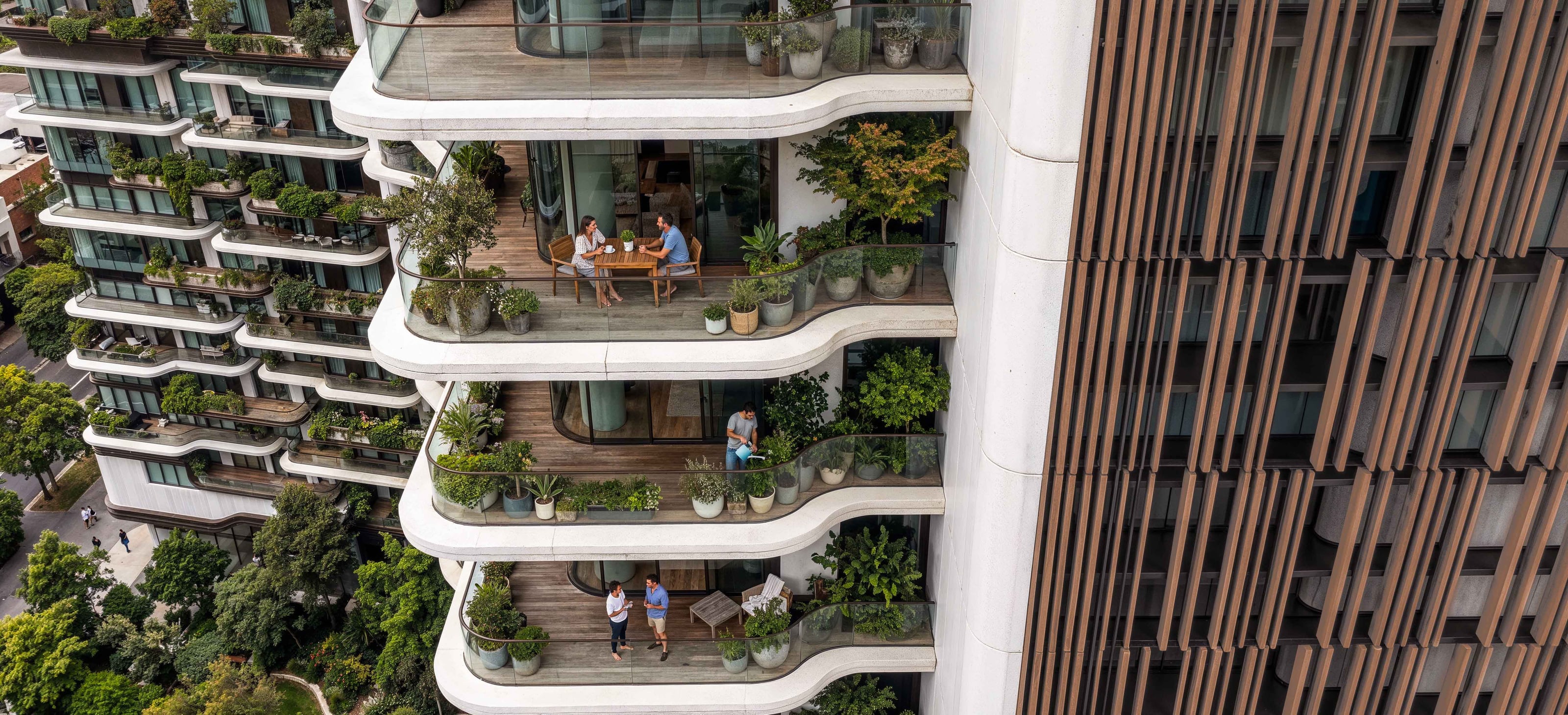 Al Zaytoun Terraces — cover